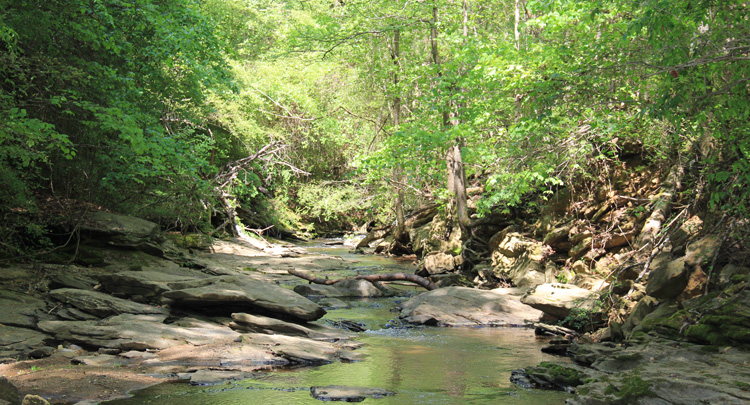 Waller Park Creek